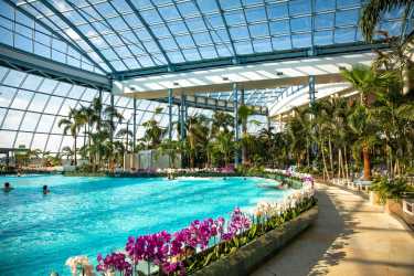 Kolonie – Raj w sercu Polski. Mandoria – Odkryj nową strefę CROCODIL w Park Of Poland Suntago Wodny Świat - super zabawa w Sadach Klemensa także warsztat pływacki i lekcja przetrwania. Kolonia 7-13 lat.